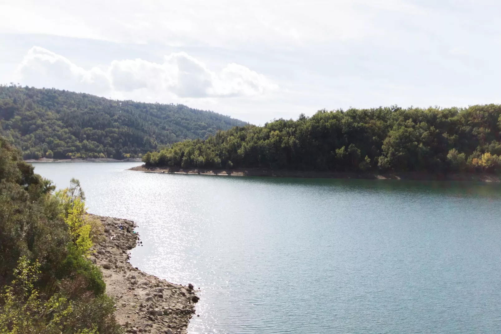 Verdi-Zones été à 5 km