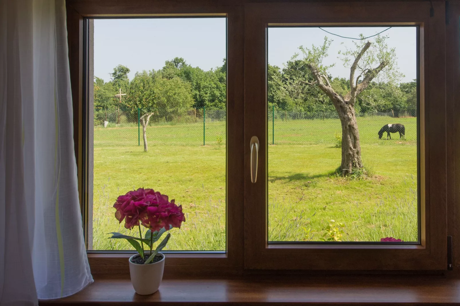 House Betiga 2-View summer