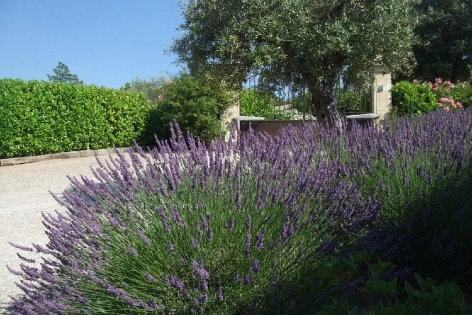 Verdi-Installations du parc