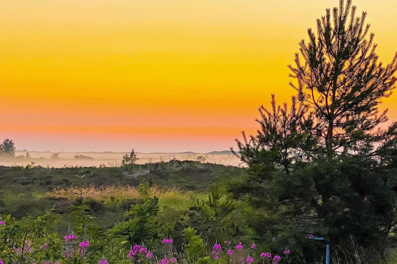 Maison de vacances pour 7 a Læsø-Extérieur