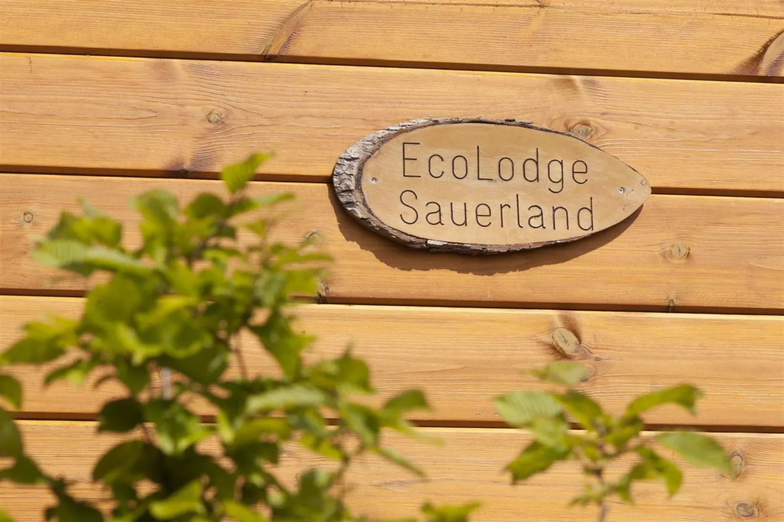 EcoLodge Sauerland 1-Atmosphere