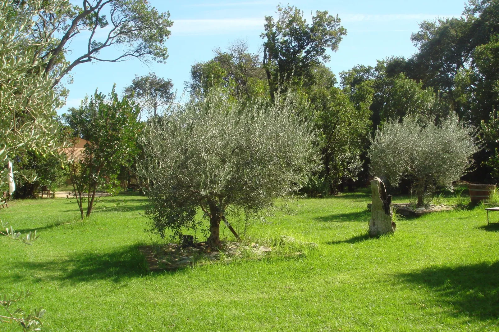 Résidence le Maquis Plage Type 1-Gardens in summer