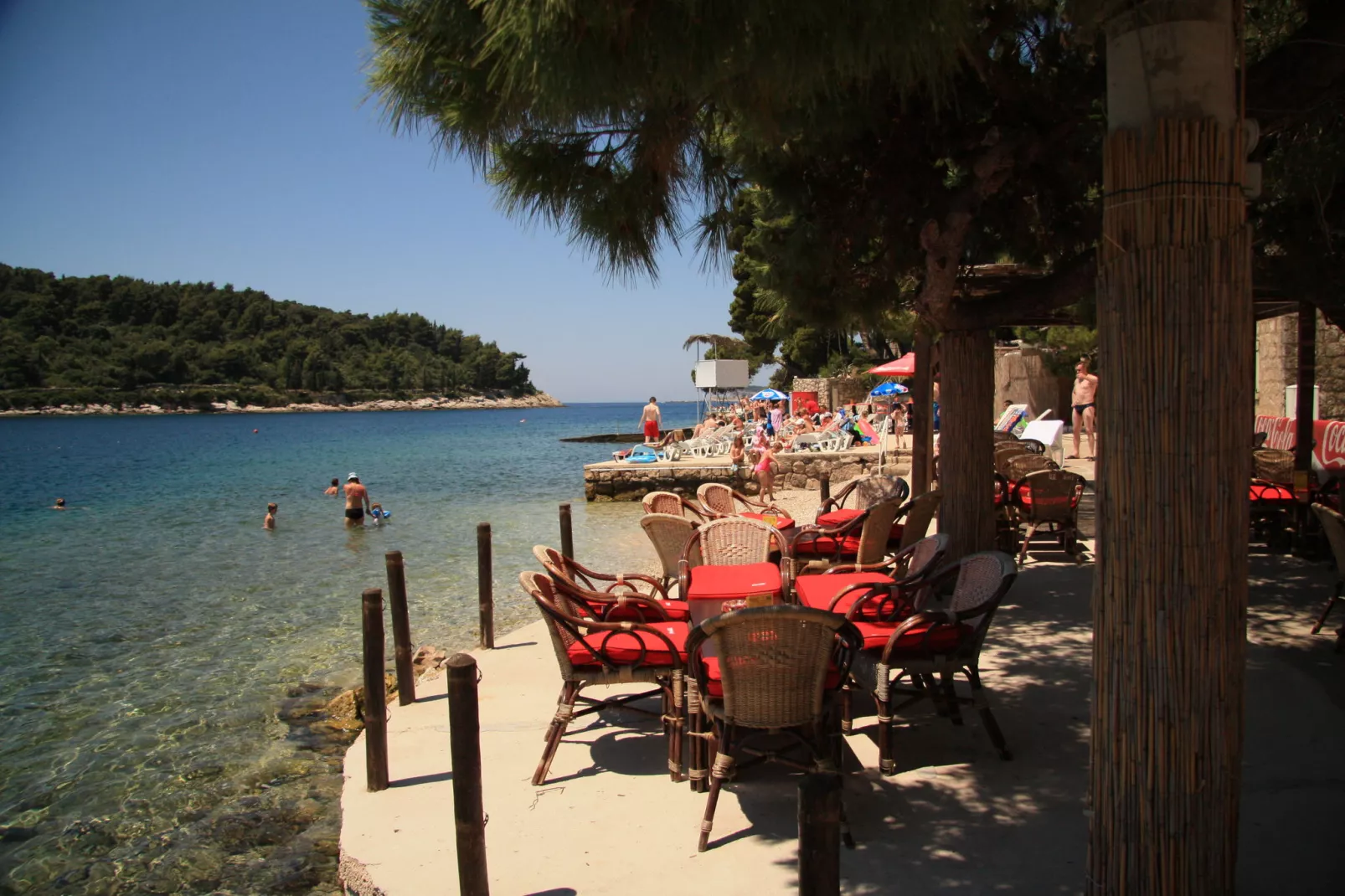 Vesely-Areas summer 20km