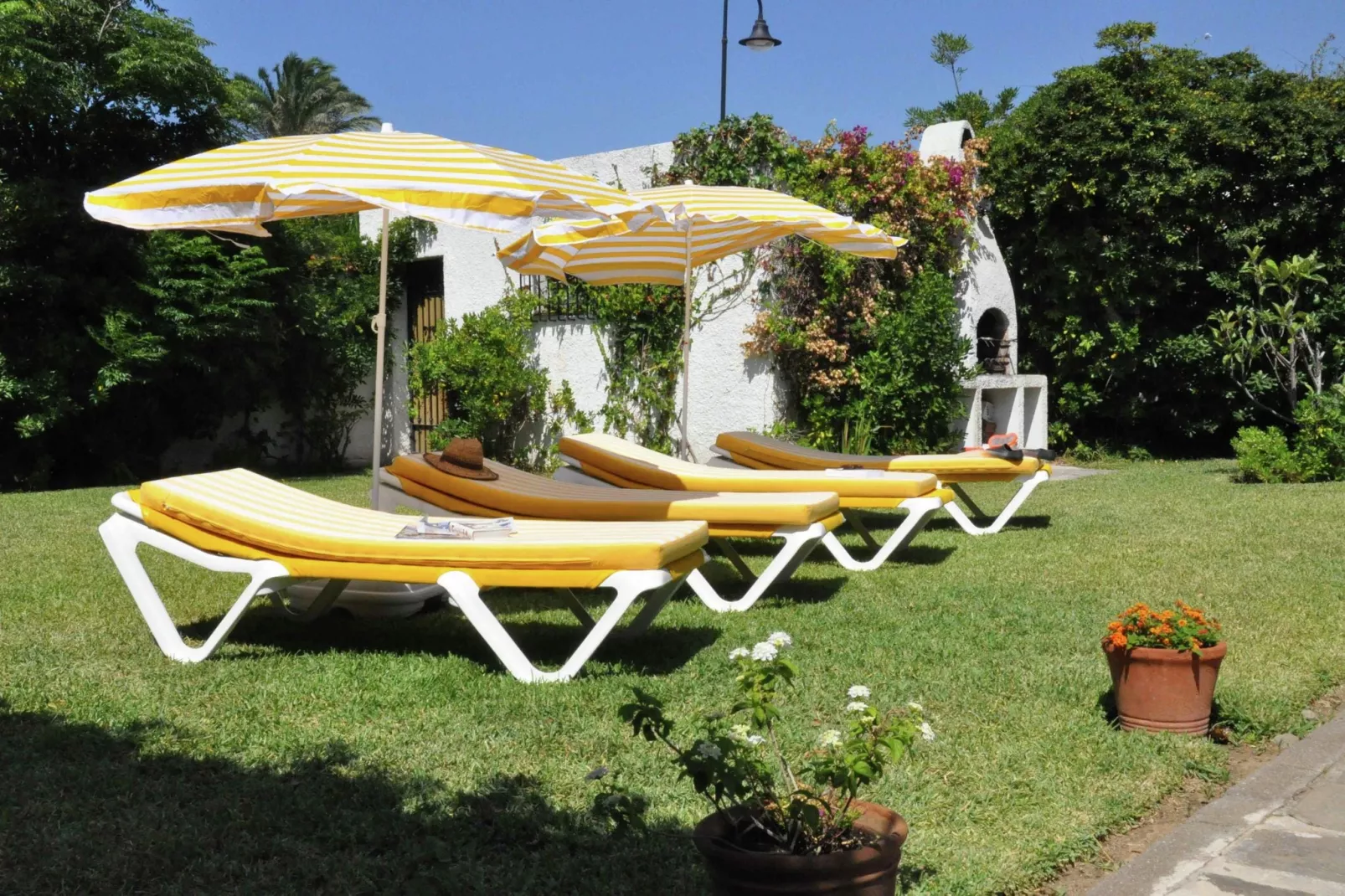 Gaviota y La Estrella-Gardens summer