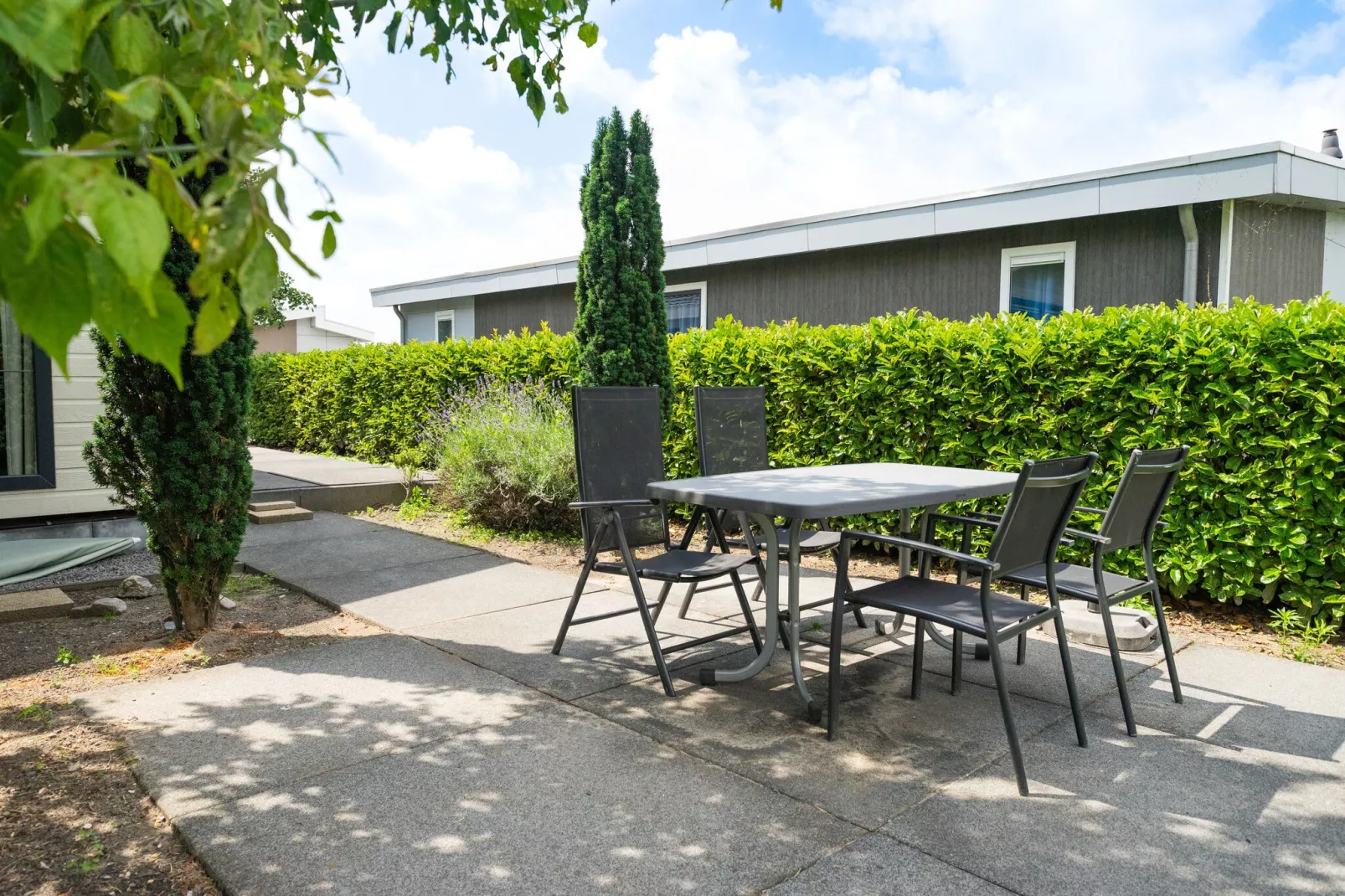 Resort De Biesbosch 1-Terrace balcony