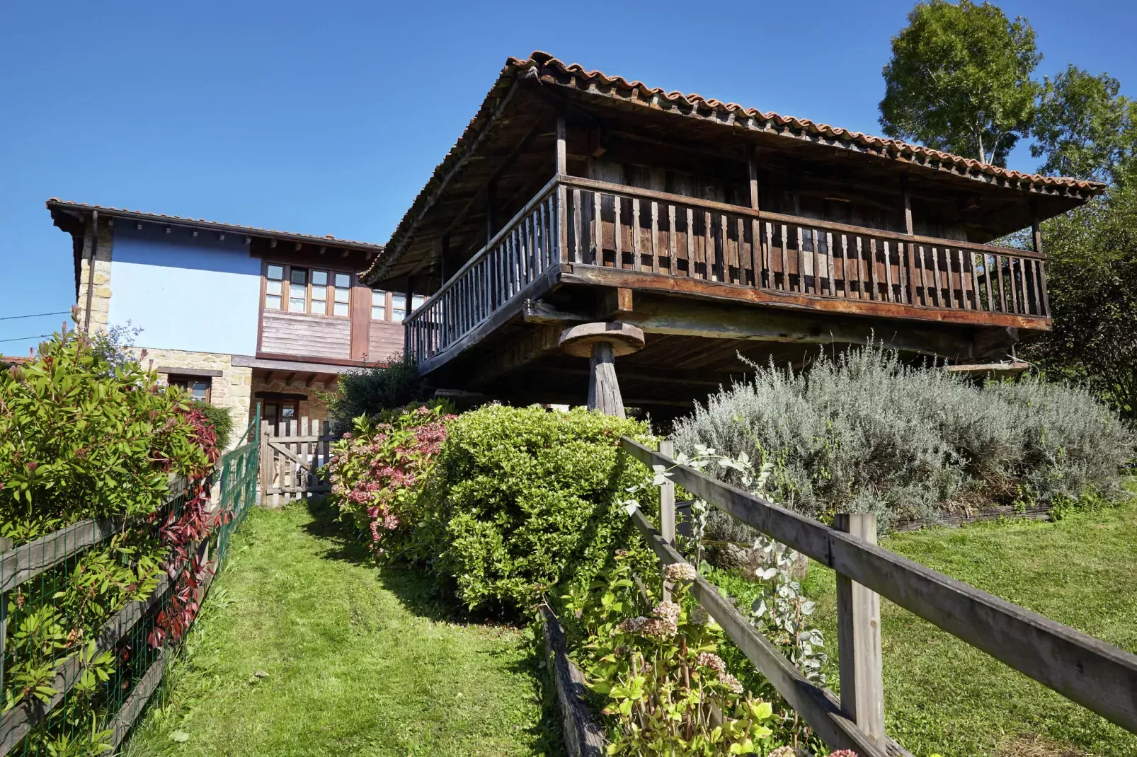 Pruneda II-Exterior summer