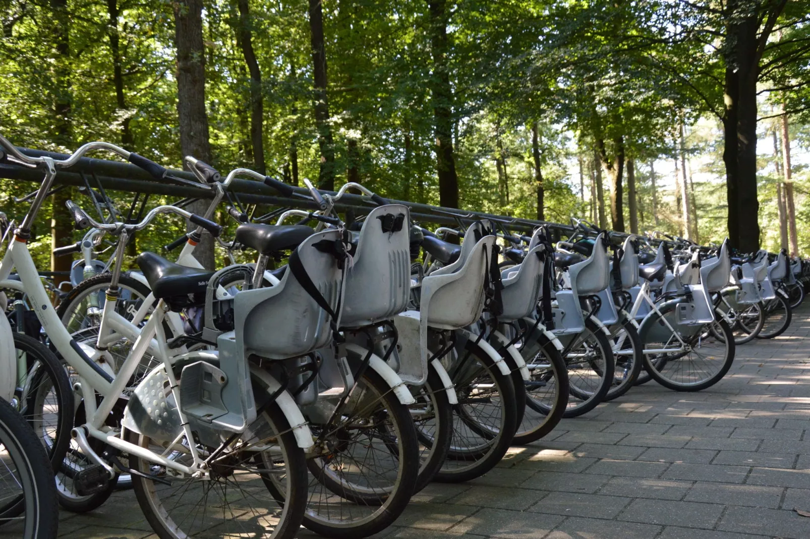 't Vliegend Hert-Zones d'été à 20 km