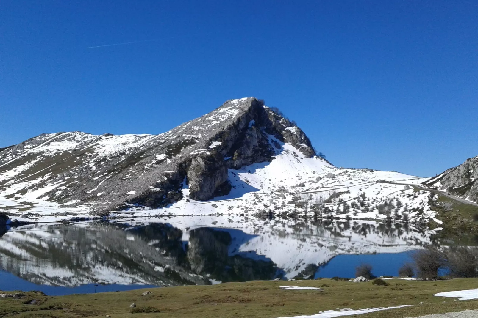 Pruneda II-Area winter 20km