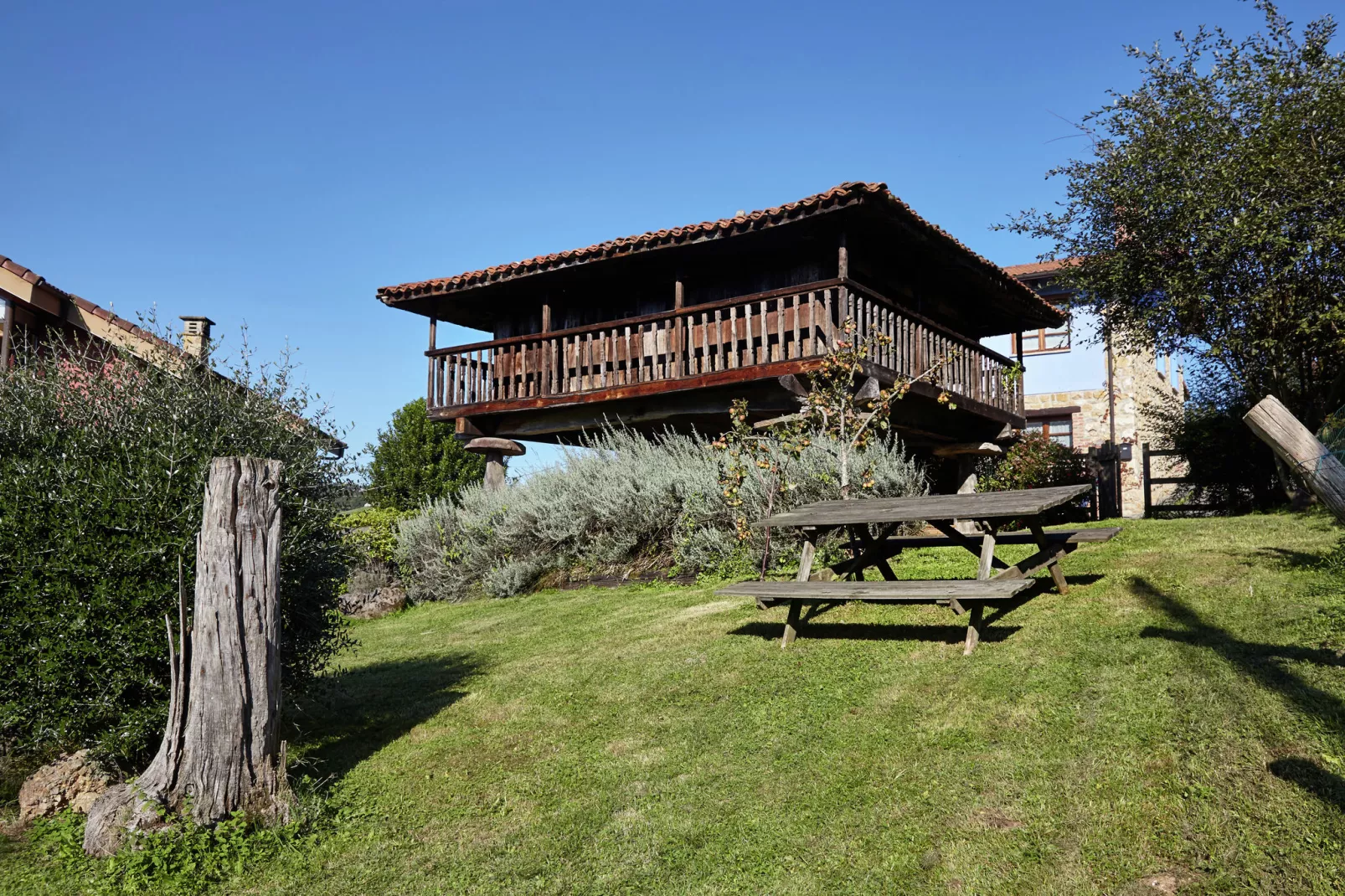 Pruneda II-Exterior summer