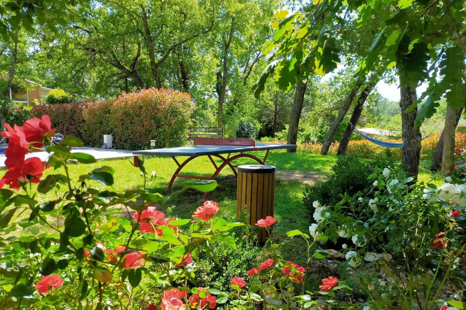 Villa Contempo 6-Gärten Sommer