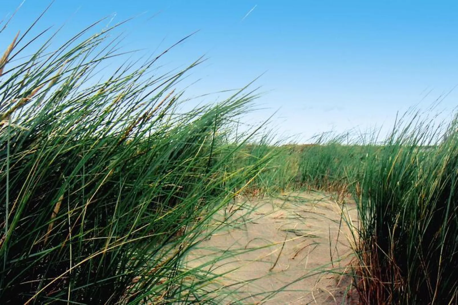 Ferienwohnung auf Norderney-Non étiqueté