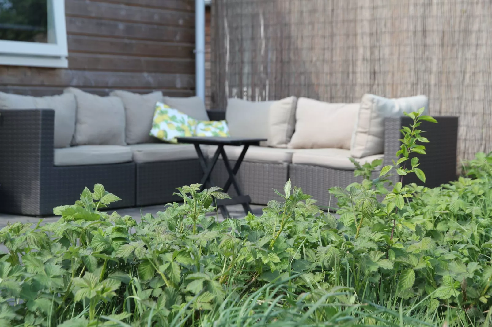 Landelijk bij Zee-Terrace balcony