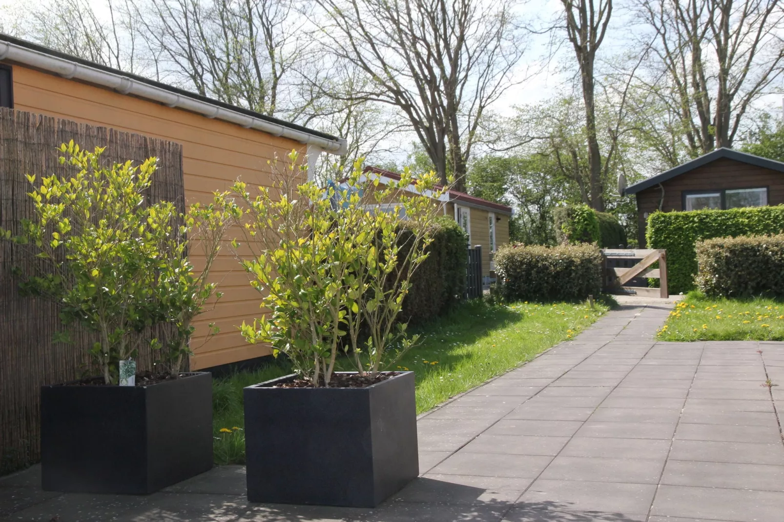 Landelijk bij Zee-Gardens summer