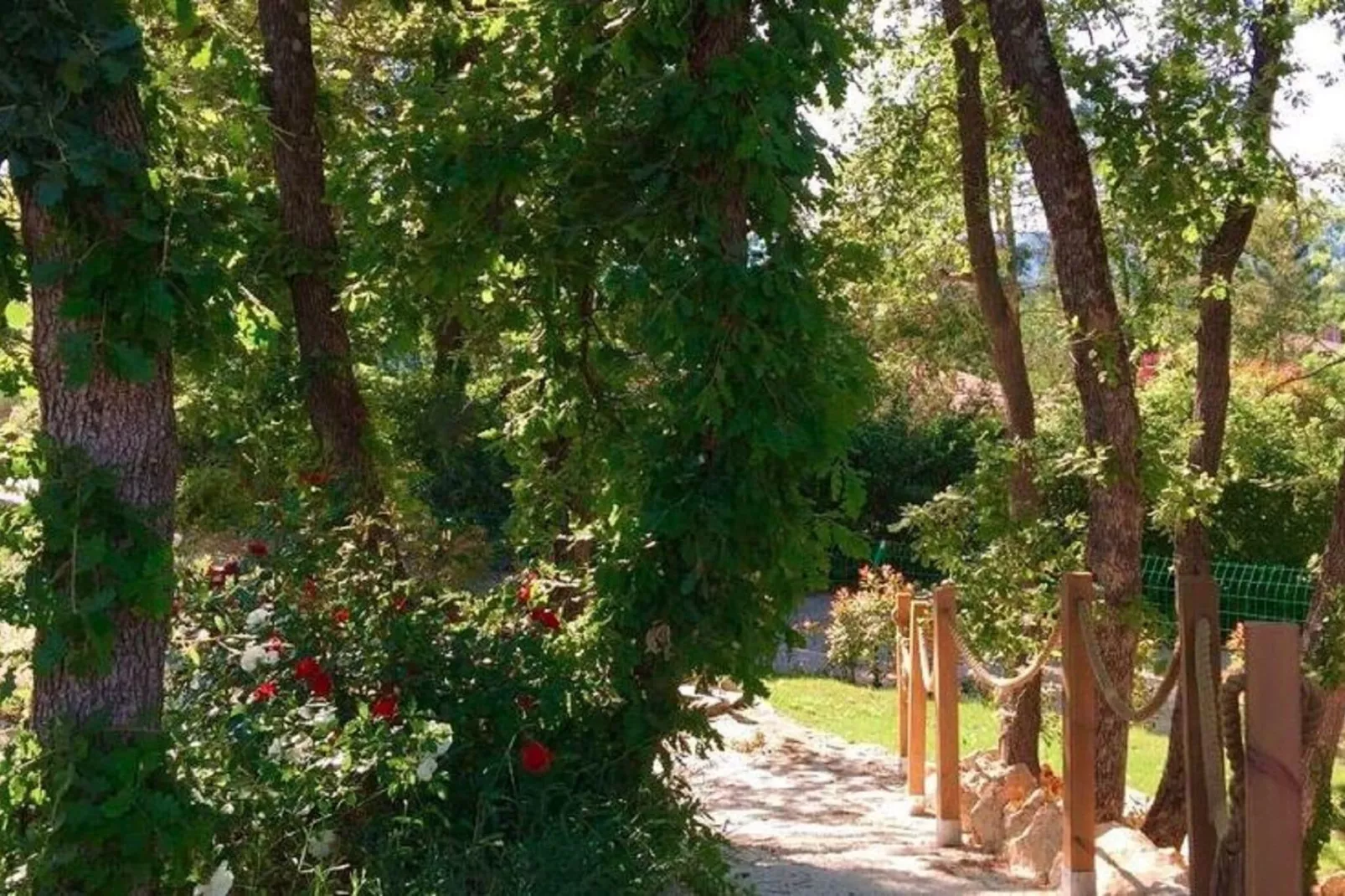 Villa Contempo 6-Gärten Sommer