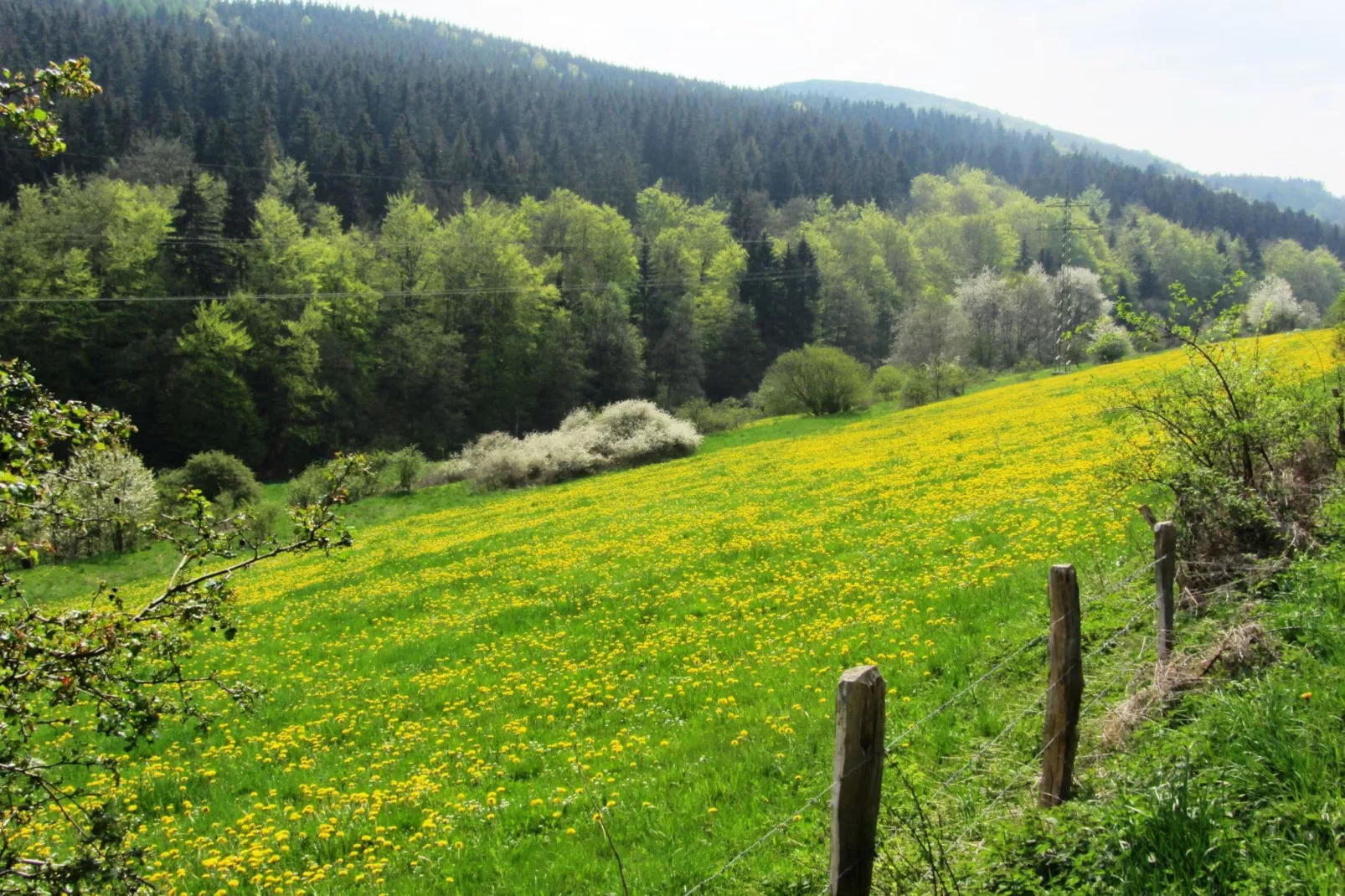 Küstelberg-Gebiete Sommer 20 km