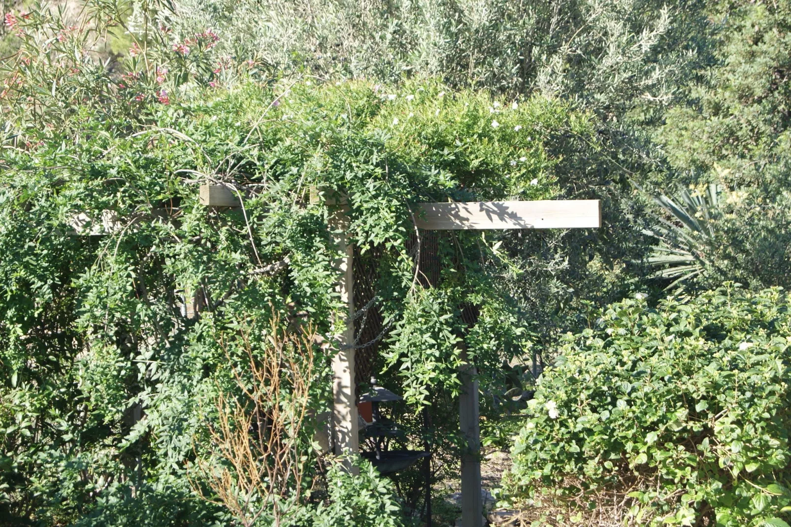 Casa Nido Cálido-Gardens summer