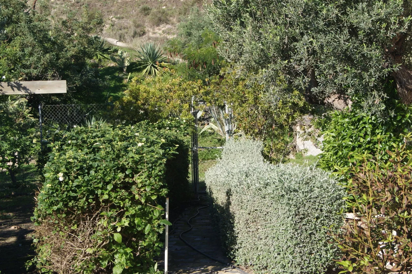 Casa Nido Cálido-Gardens summer