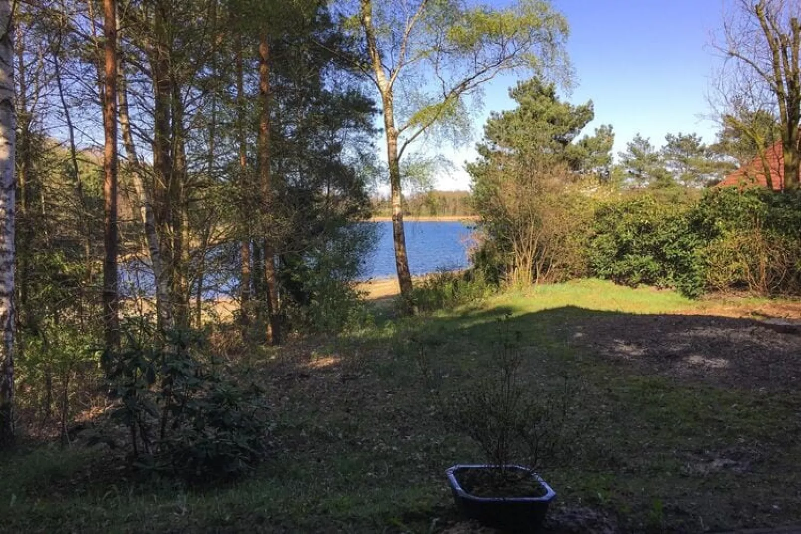 Ferienhaus Svenja Wiefelstede-Lehe-Gardens summer