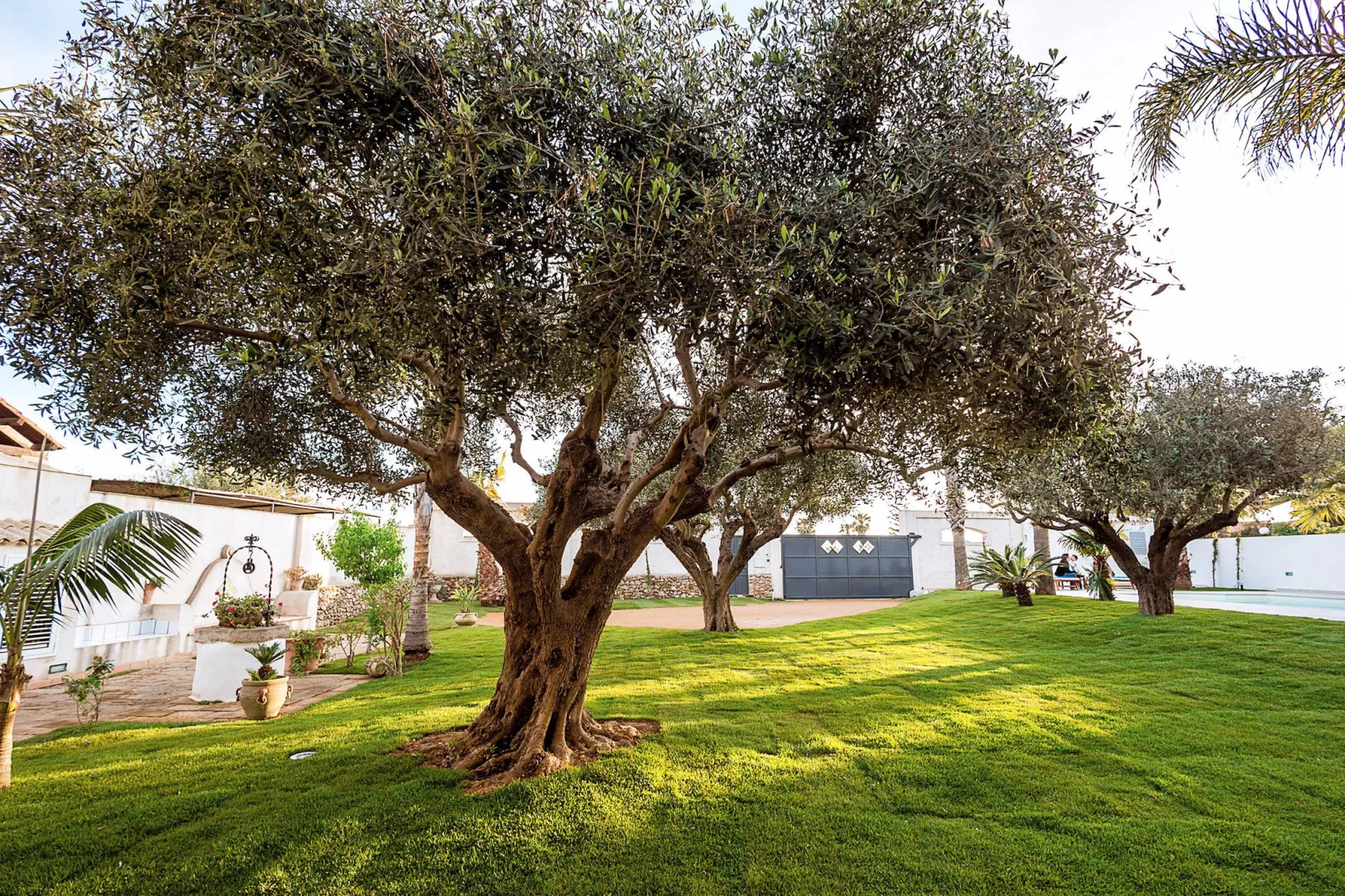 Casa Marsala Due-Gardens summer