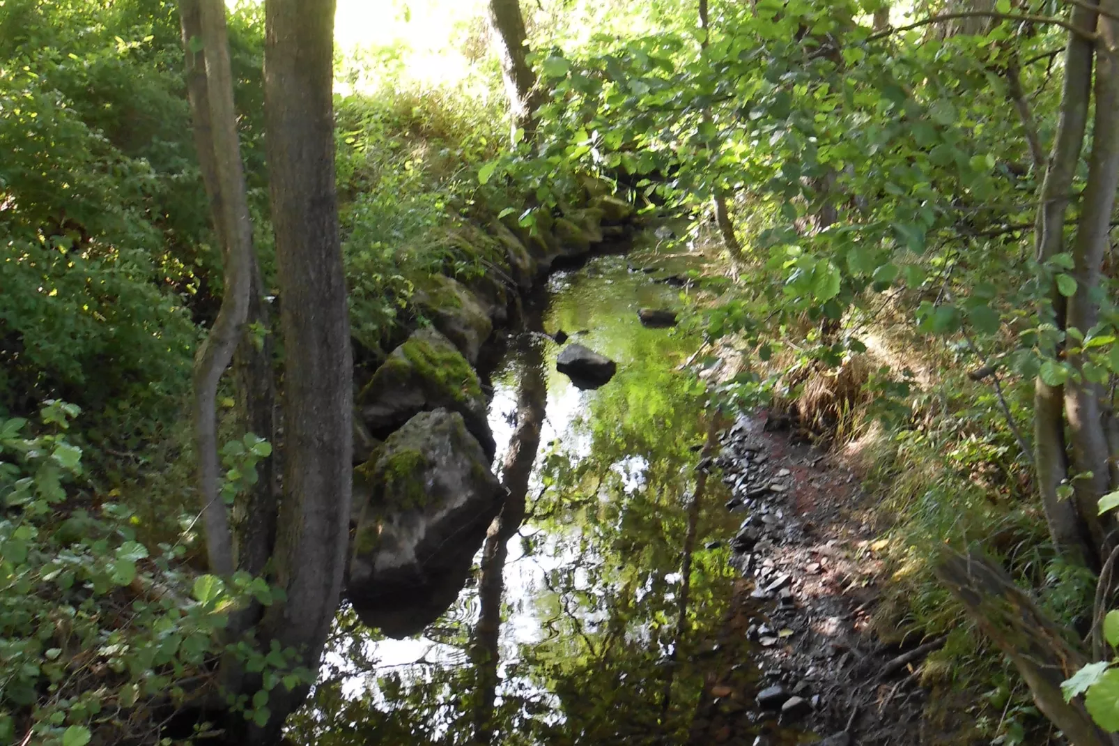 Im Sauerland-Areas summer 5km