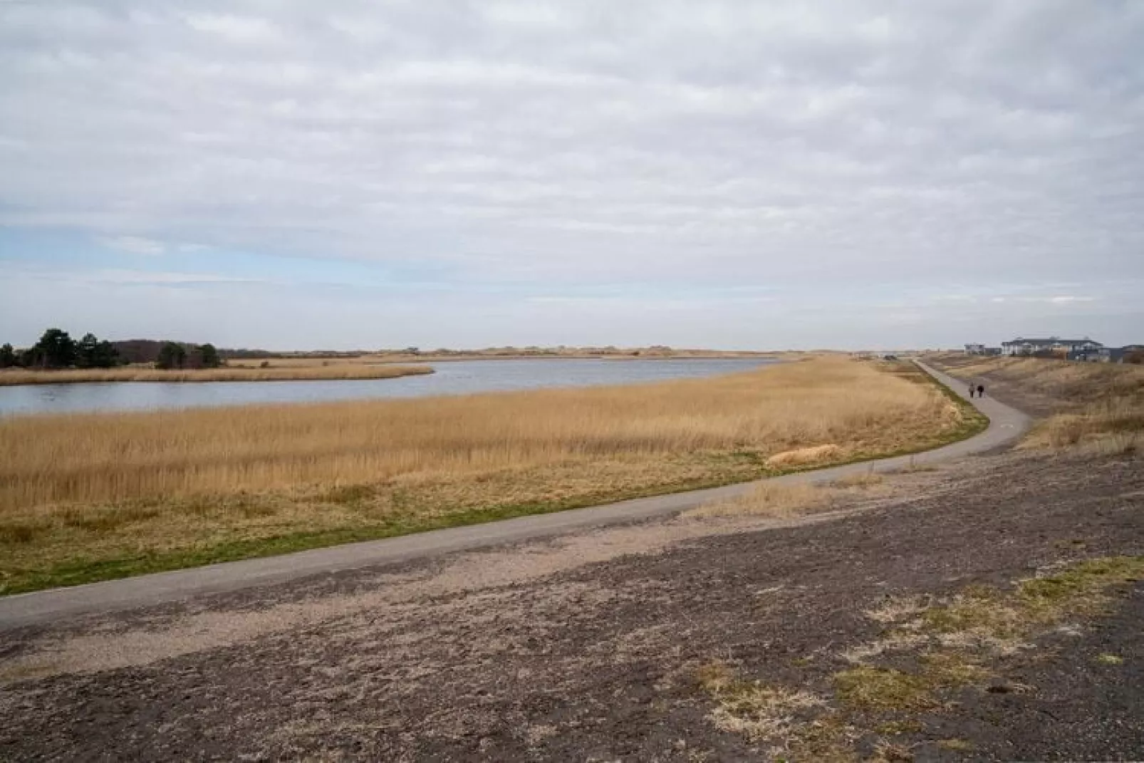 Ferienwohnung Deichlamm St Peter-Ording-Areas summer 20km