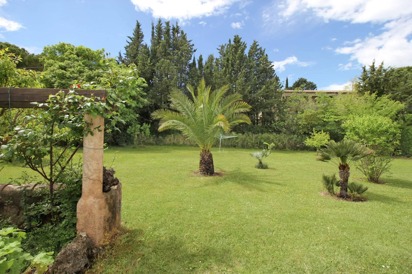 Mas du Puits-View summer