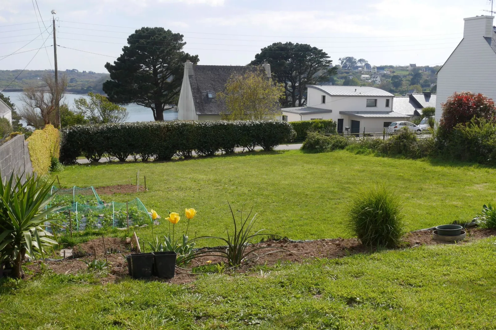 Ferienhaus mit Meerblick Roscanvel-Gardens summer