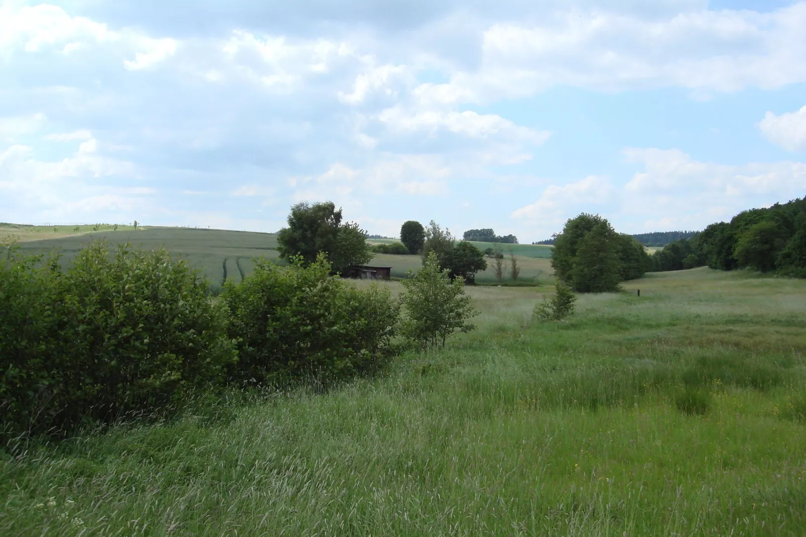 Köster-Areas within 5km in summer