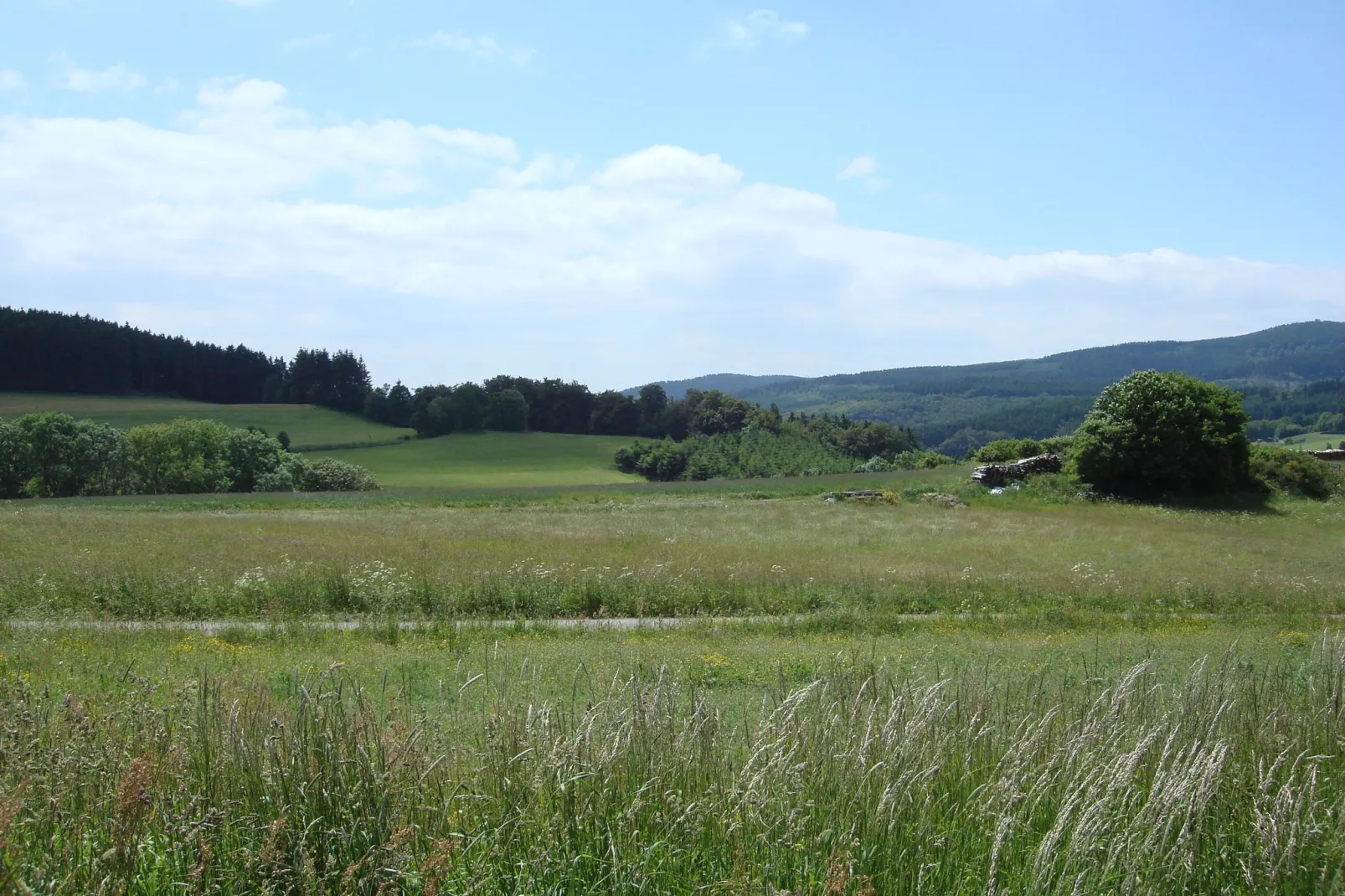 Köster-Areas within 5km in summer