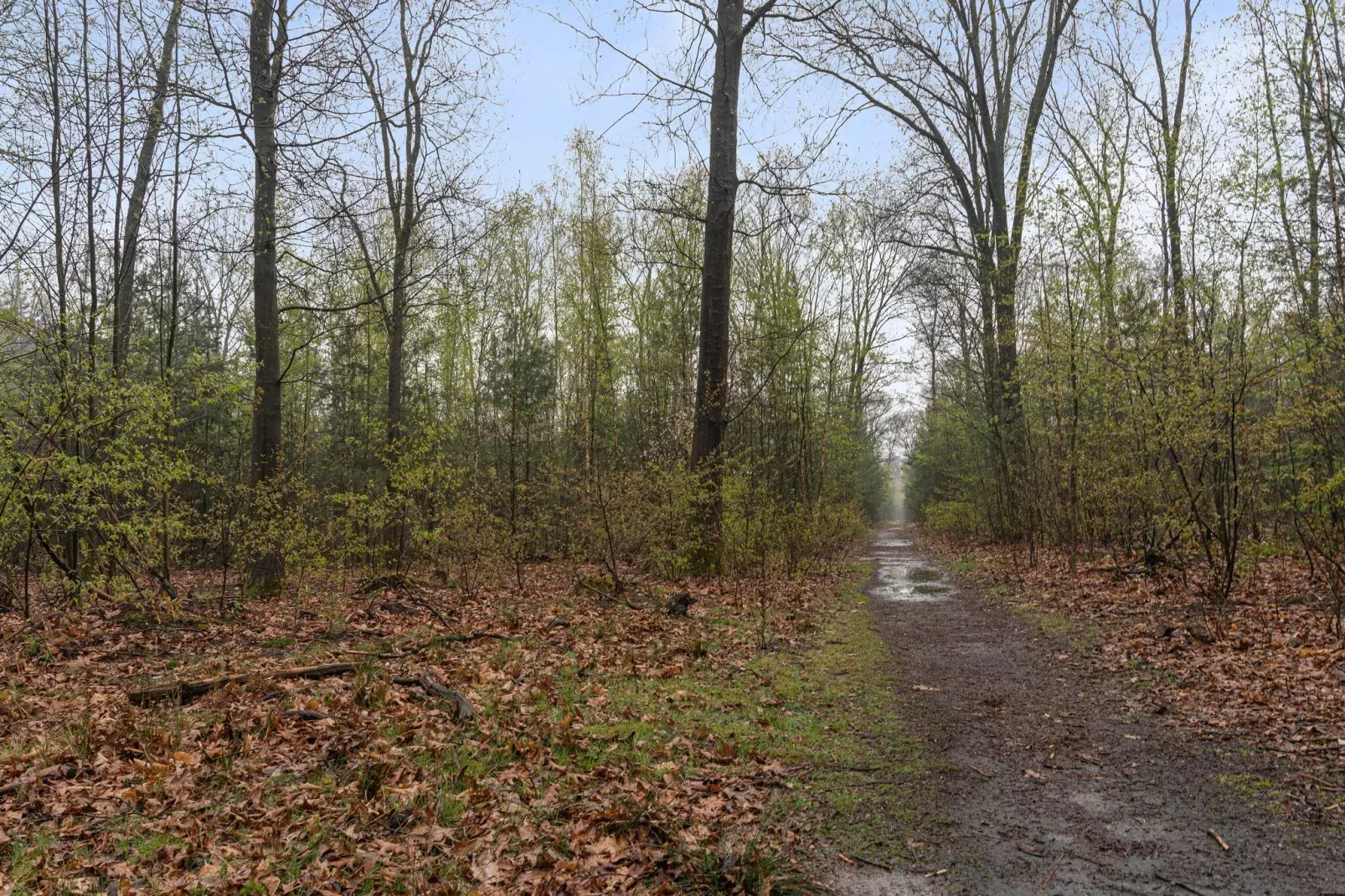 De Havik-Areas summer 5km