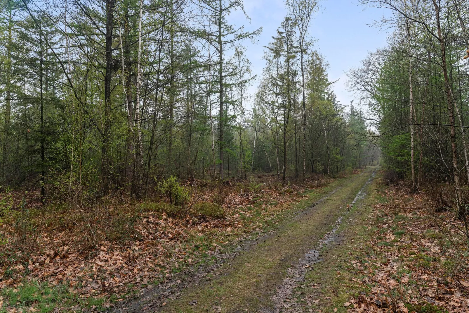 De Havik-Areas summer 20km