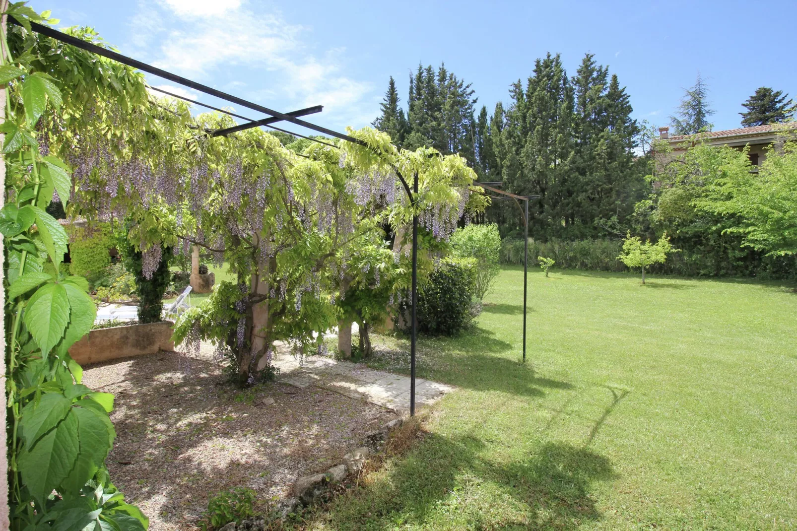 Mas du Puits-Gardens summer