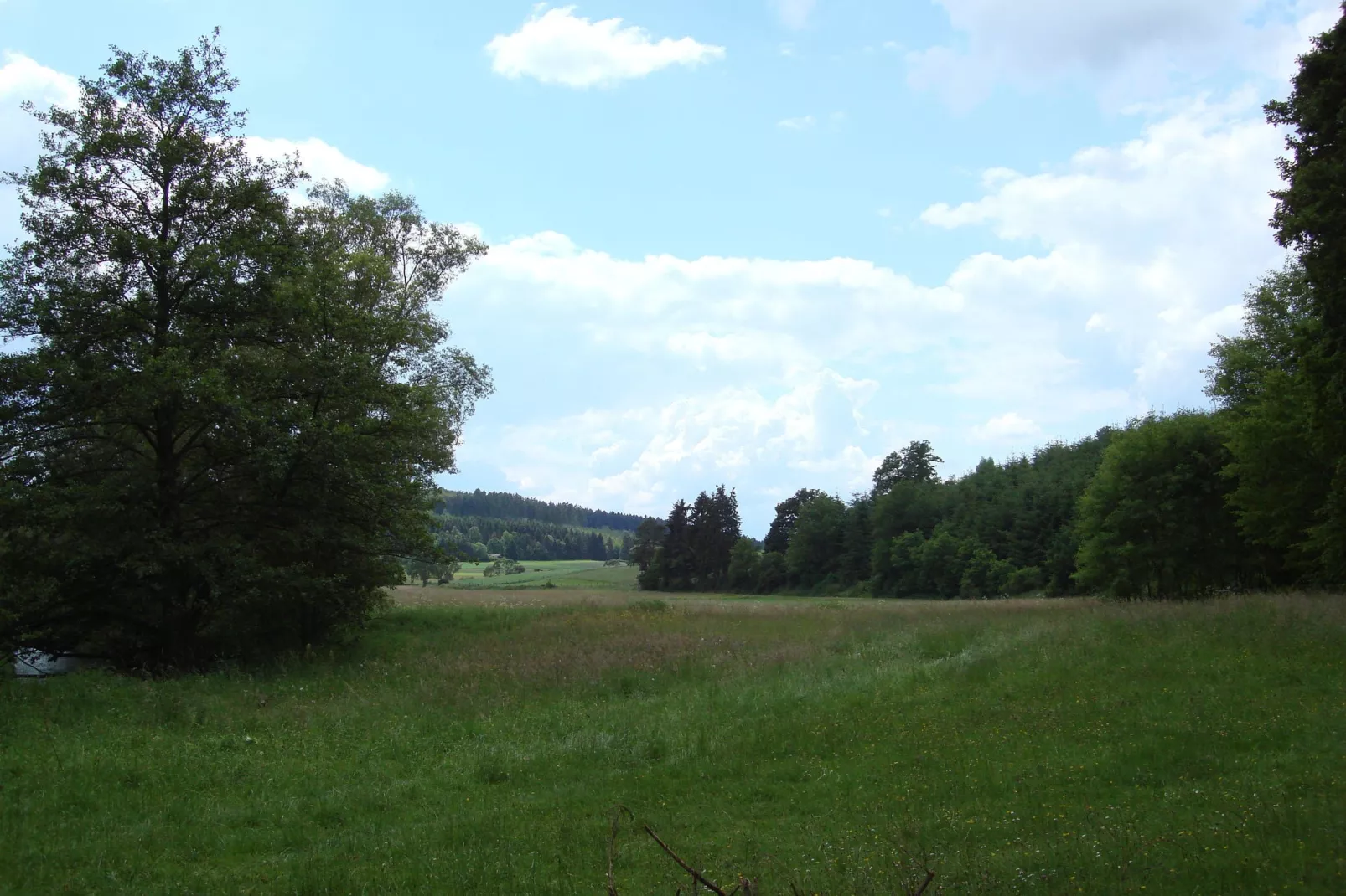 Köster-Areas within 5km in summer