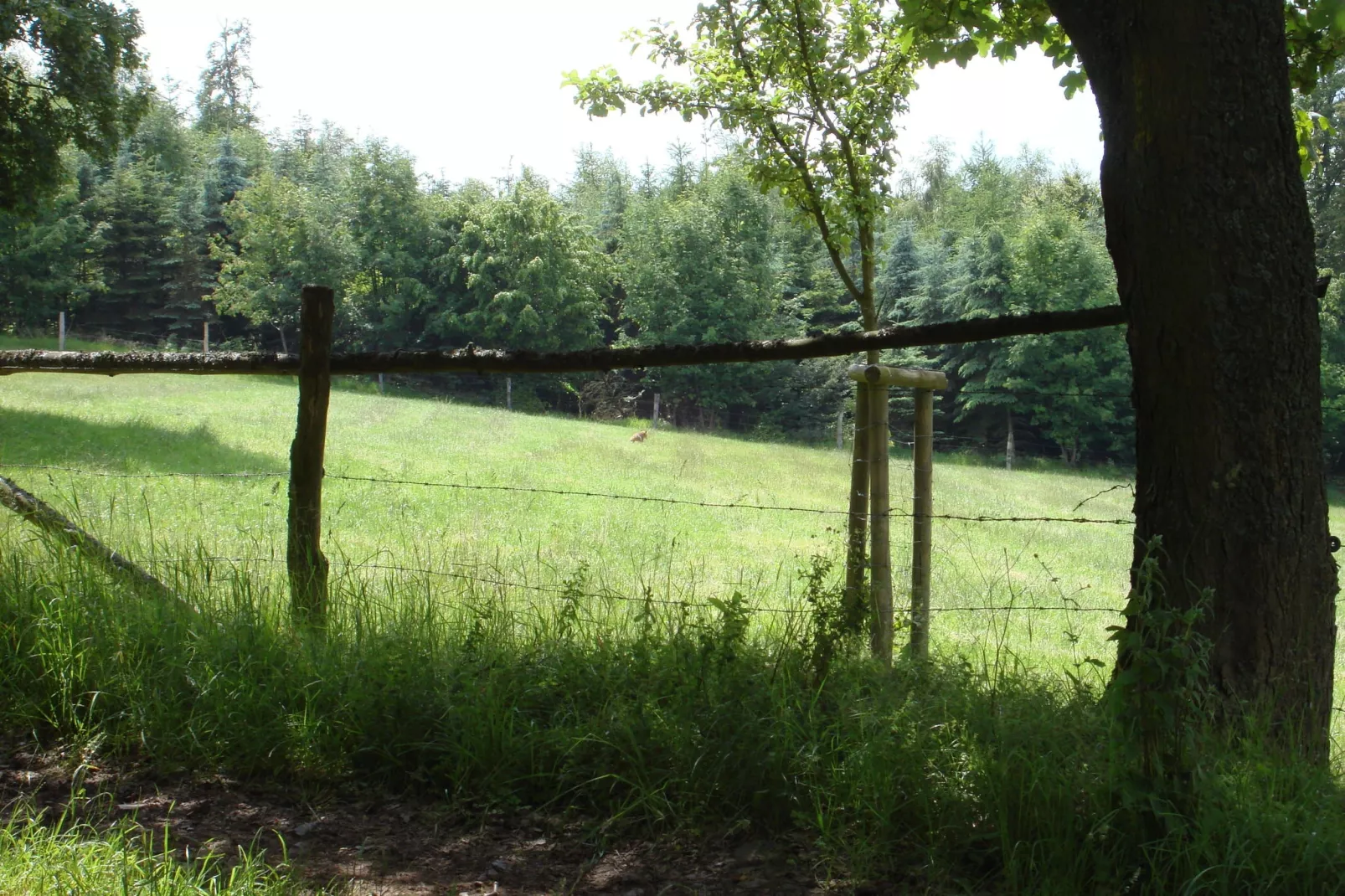Köster-Areas within 5km in summer
