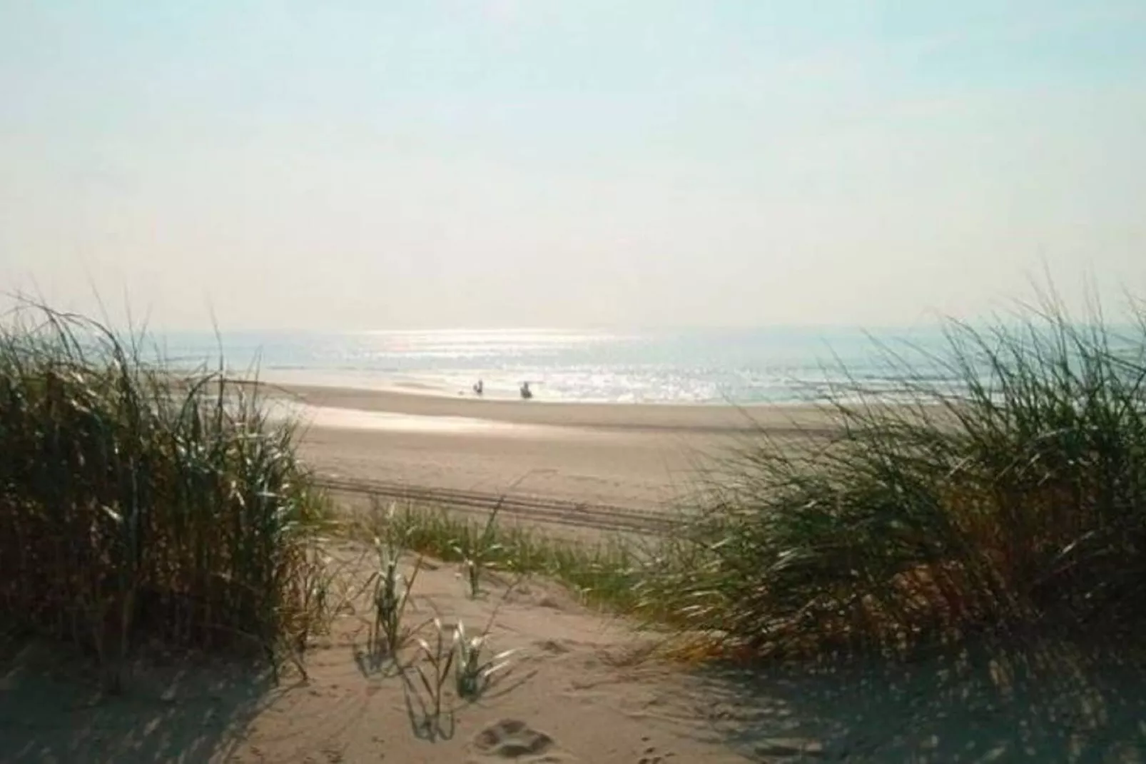 Helmgras I-Areas summer 20km