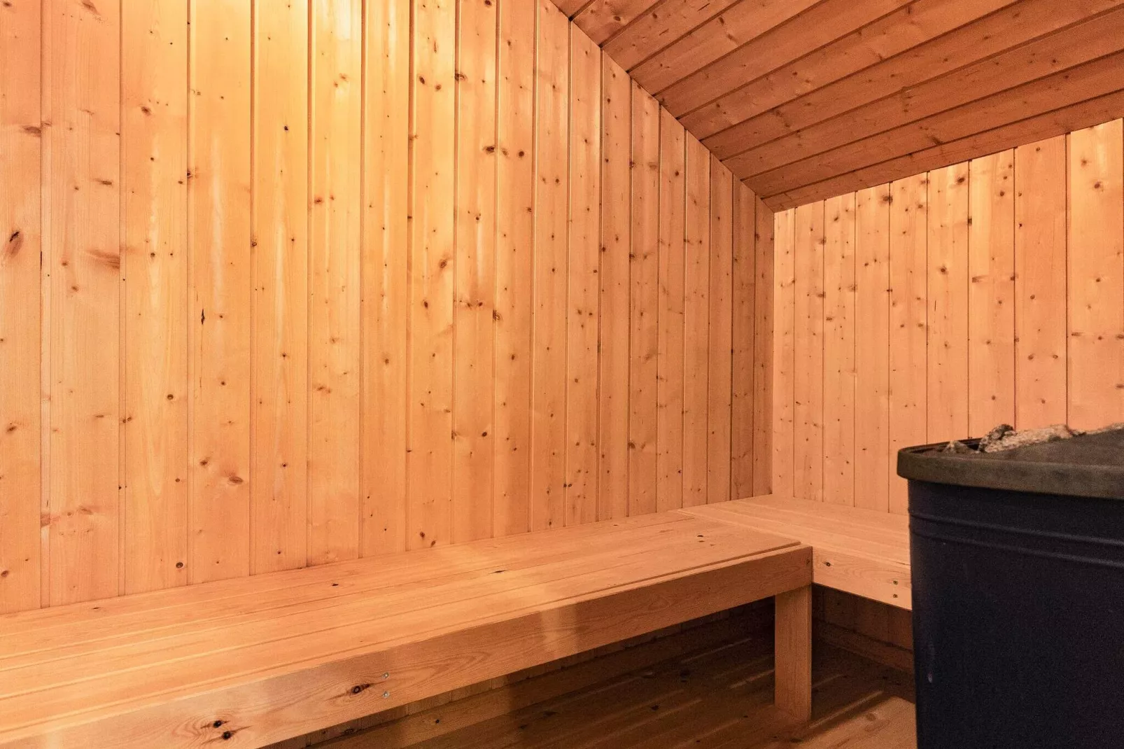 9 Personen Ferienhaus in Løkken-Sauna