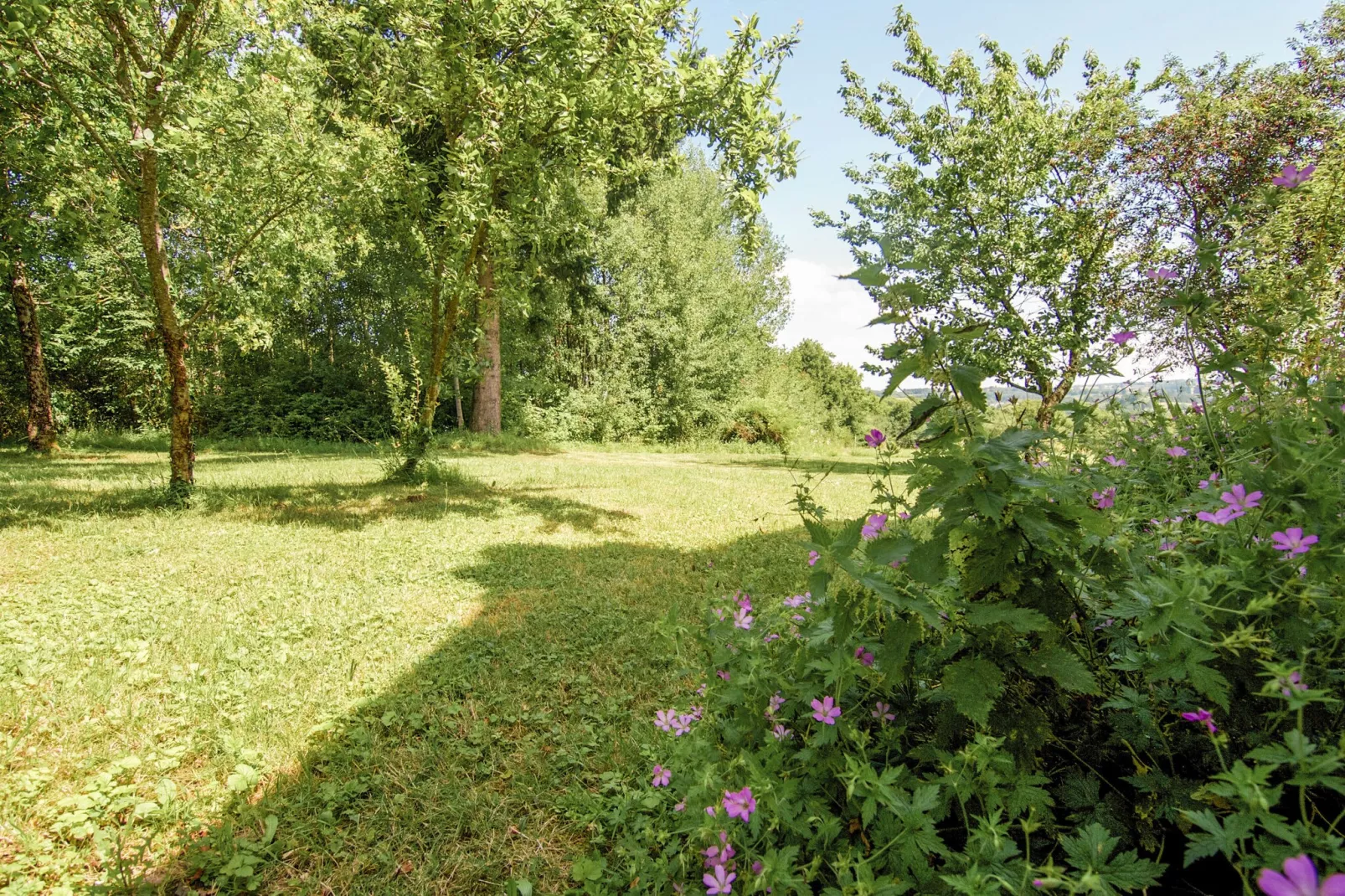 Le Haut Chambon-Gardens summer