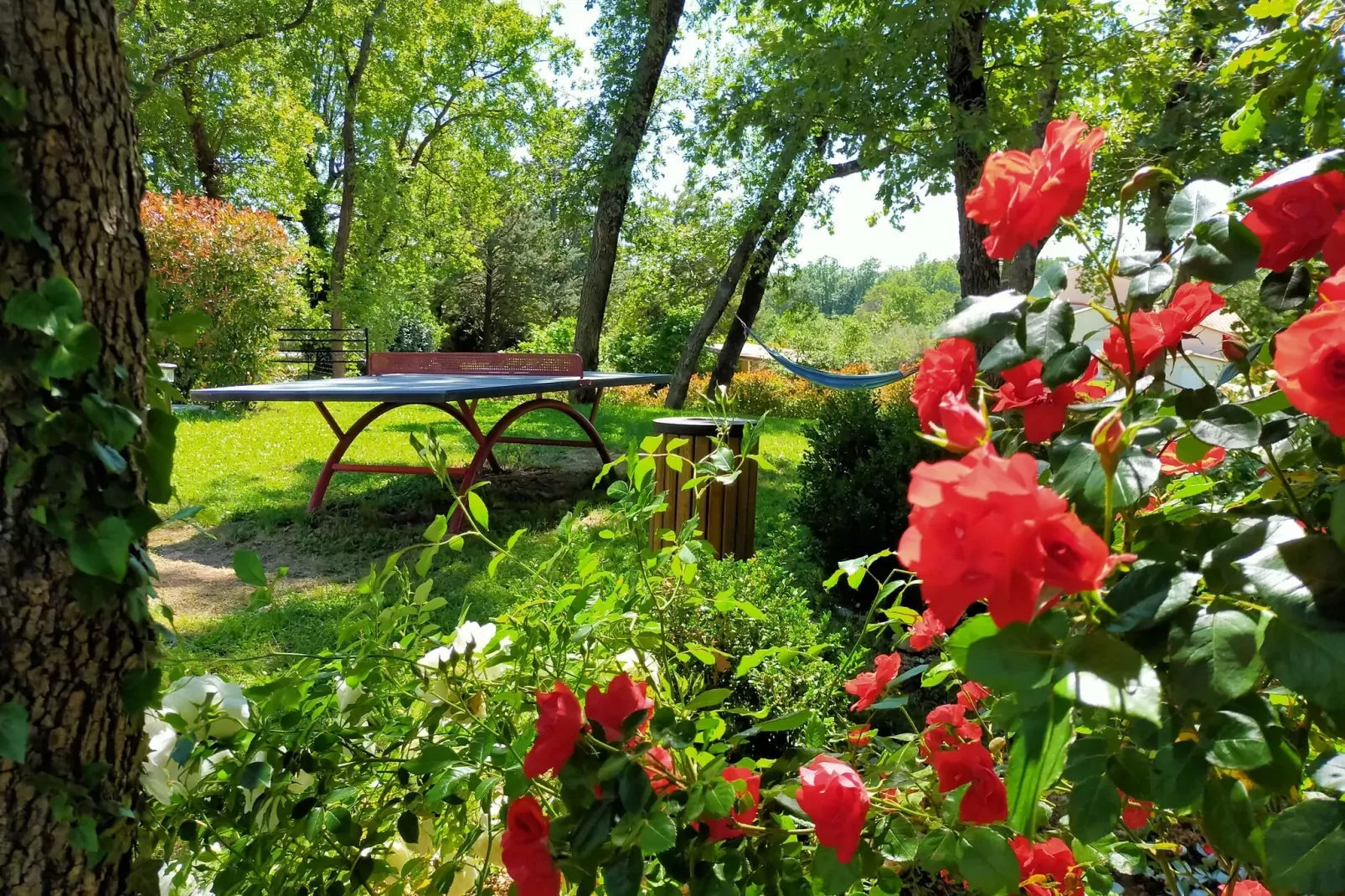 Villa Contem 4-Gardens summer