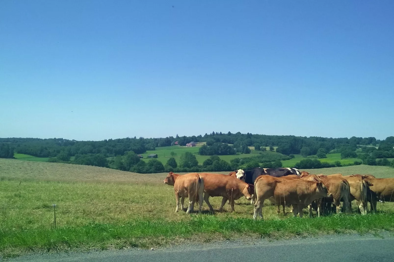 Le Haut Chambon-Areas summer 1km