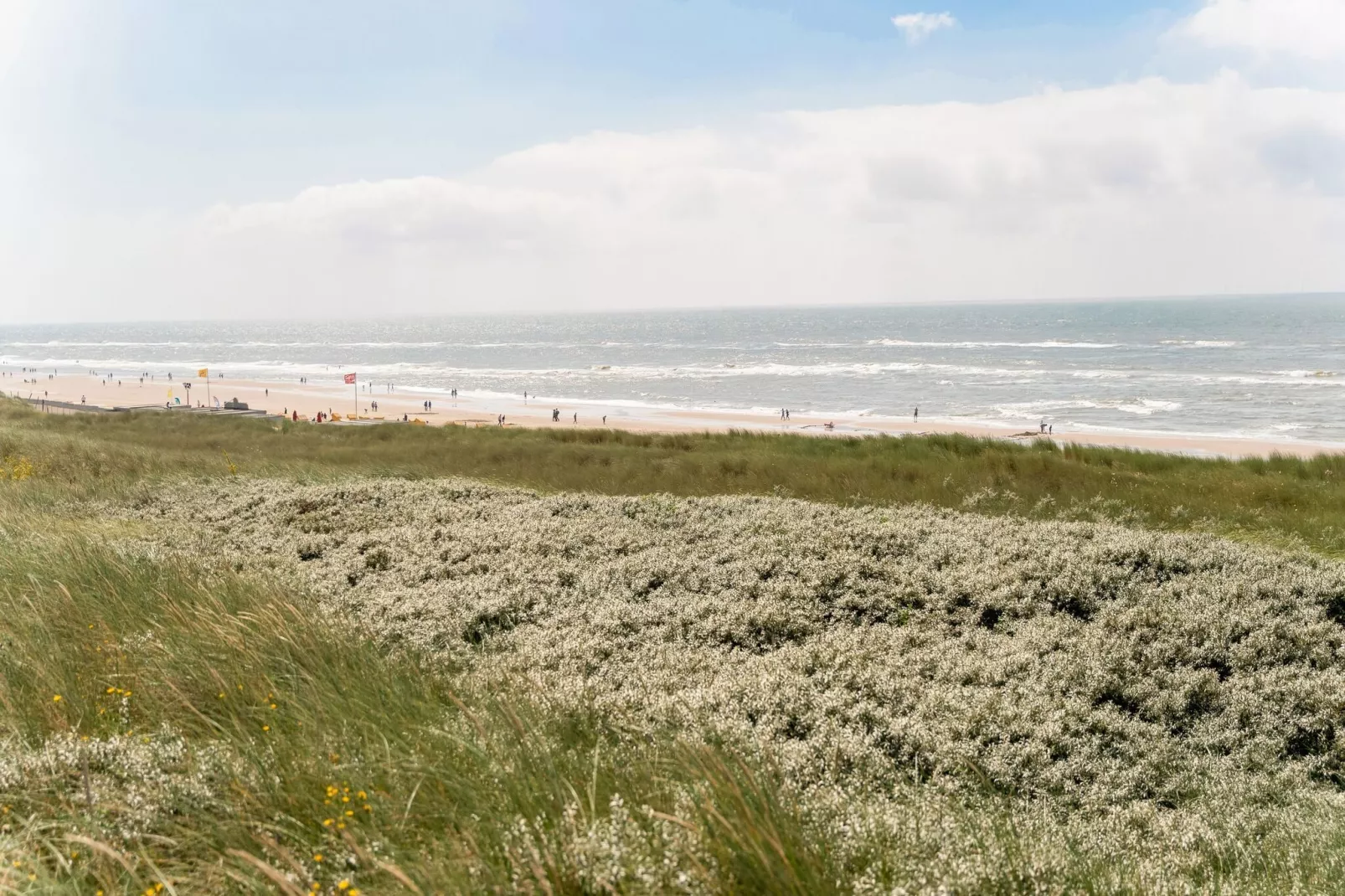 Duinvilla aan het Meer-Areas summer 5km
