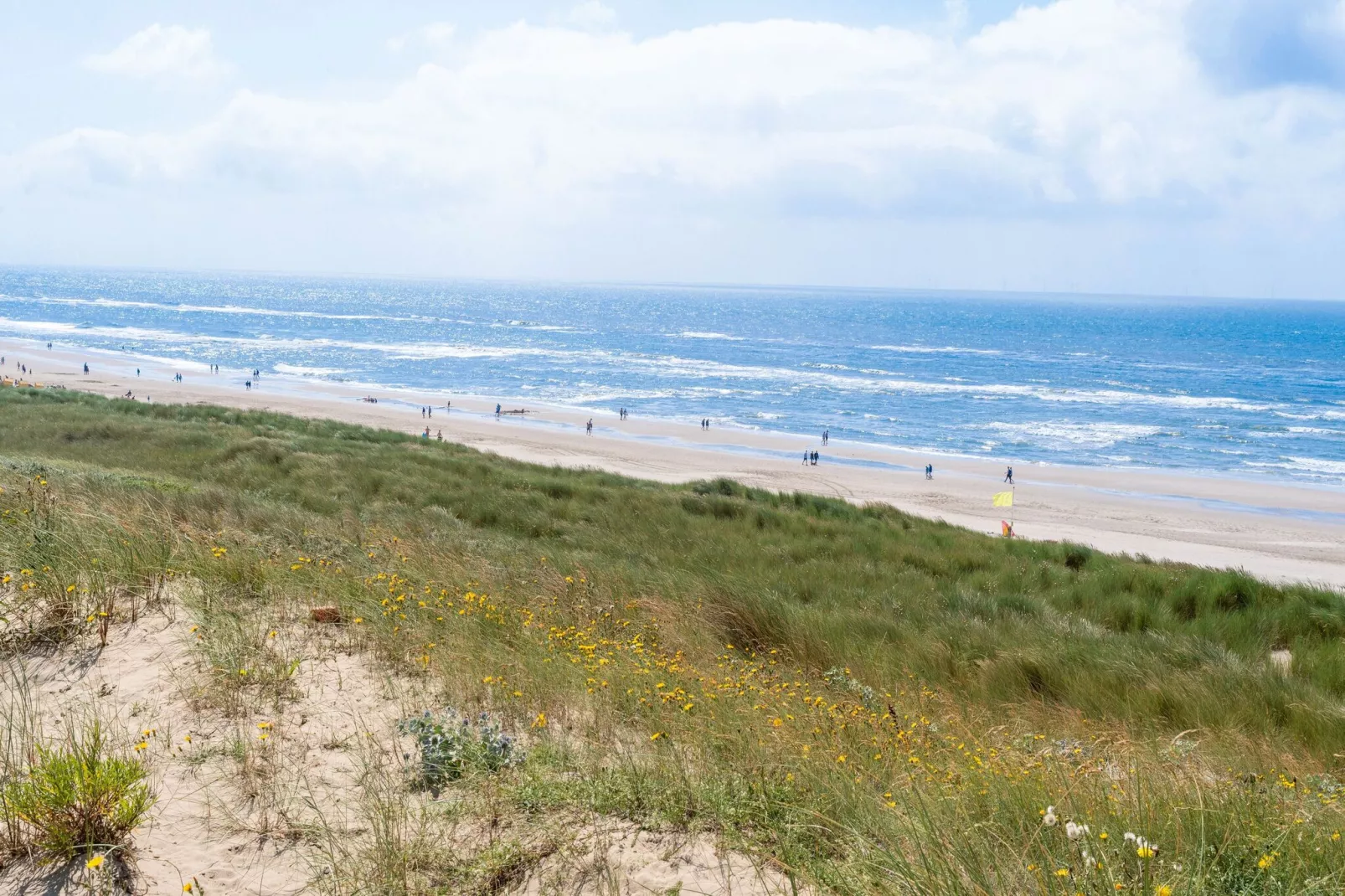 Duinvilla aan het Meer-Areas summer 5km