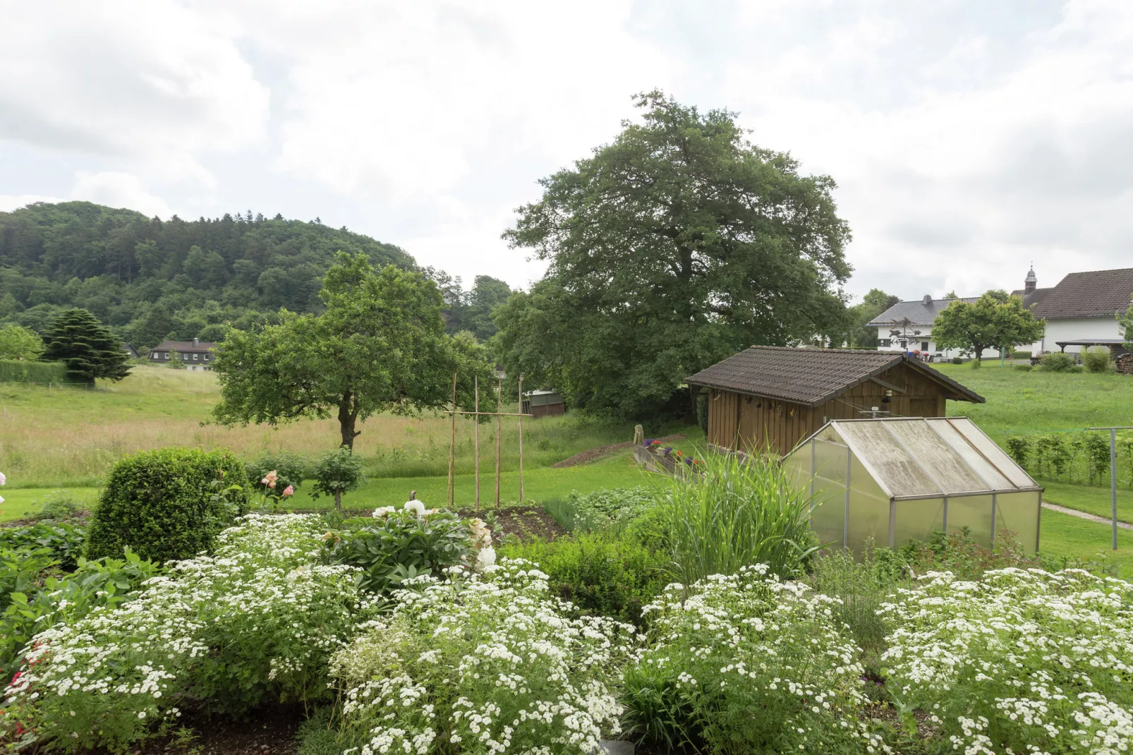 Mörchen-View summer