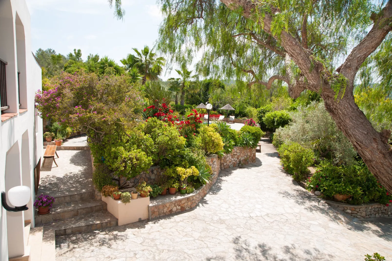 Can Jurat-Gardens summer