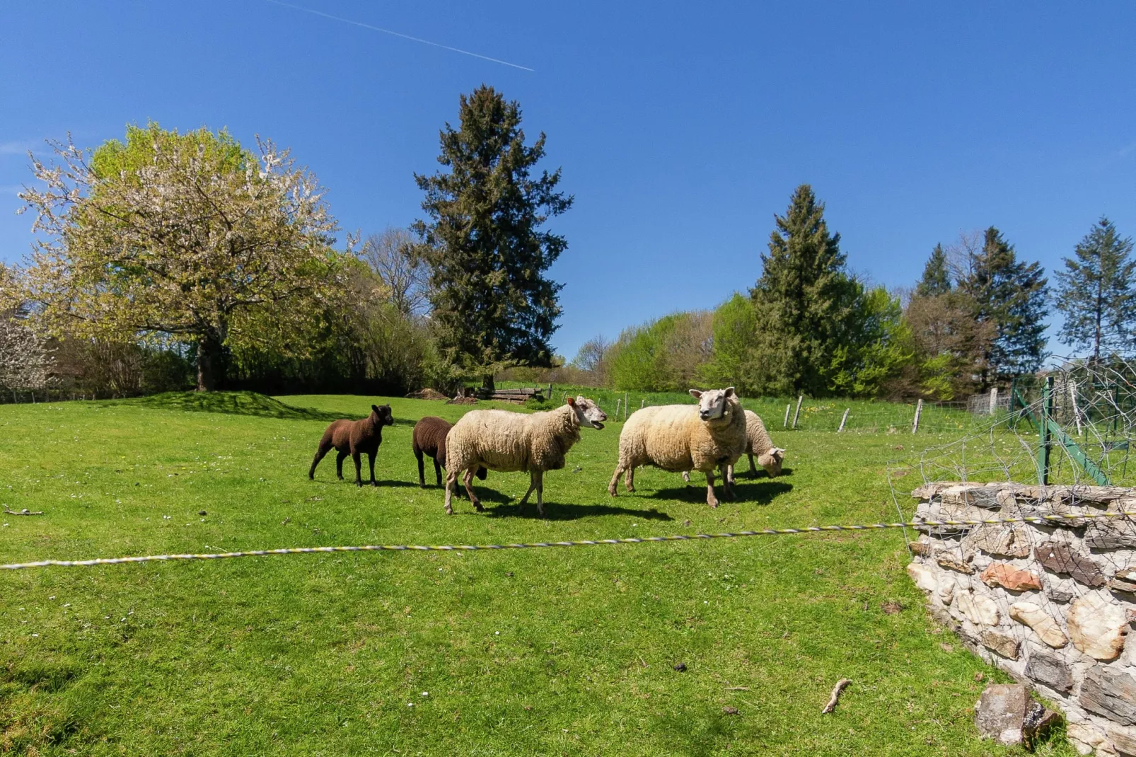 Marie-Rose-Gardens in summer