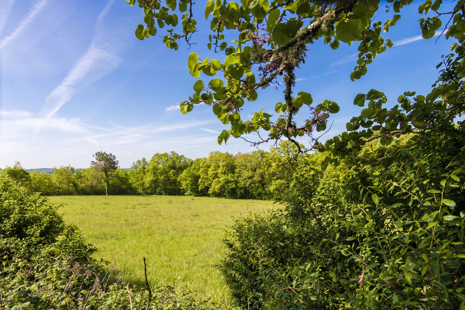 Tournesol-Gebiete Sommer 1 km
