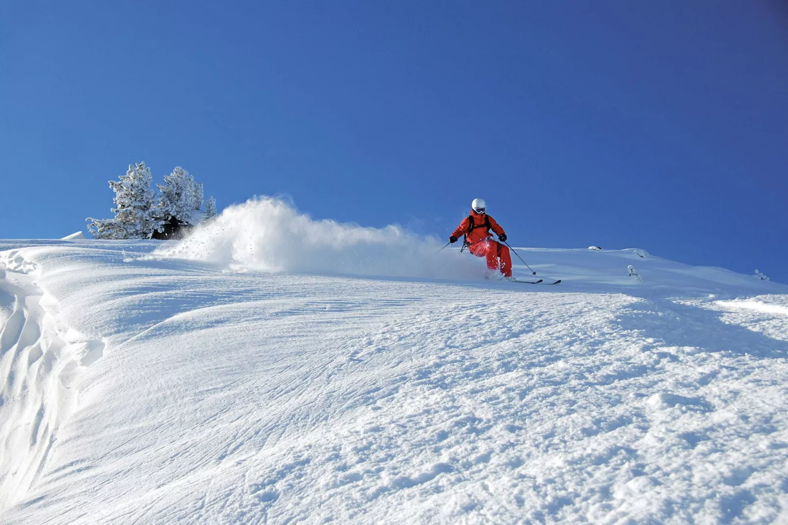 Chalet Schiestl - 10 Personen-Area winter 20km