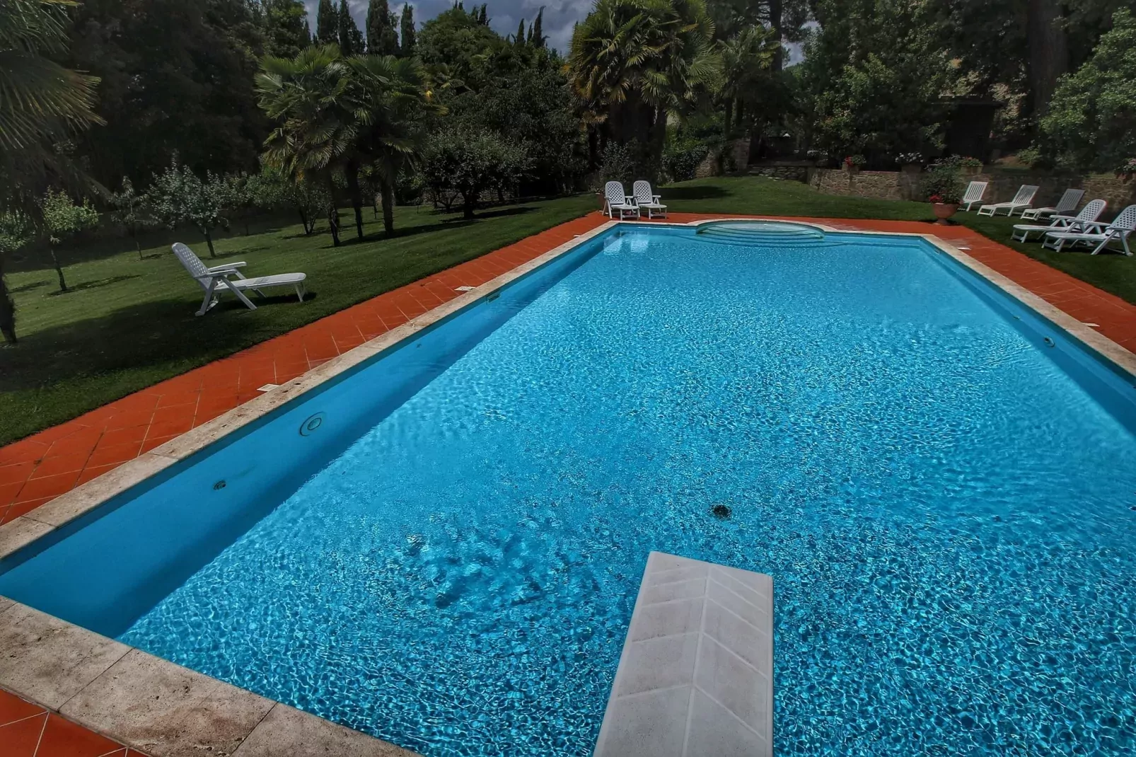 Paulonia-Pool