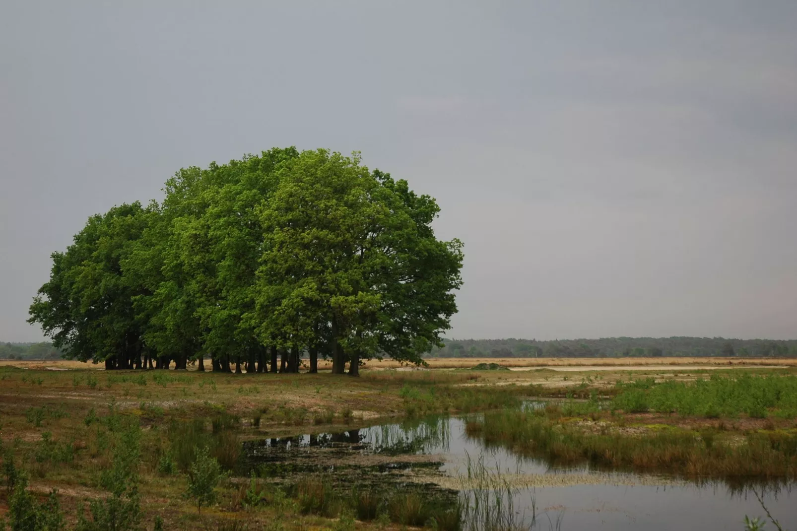 Landgoed De IJsvogel 3-Areas summer 20km
