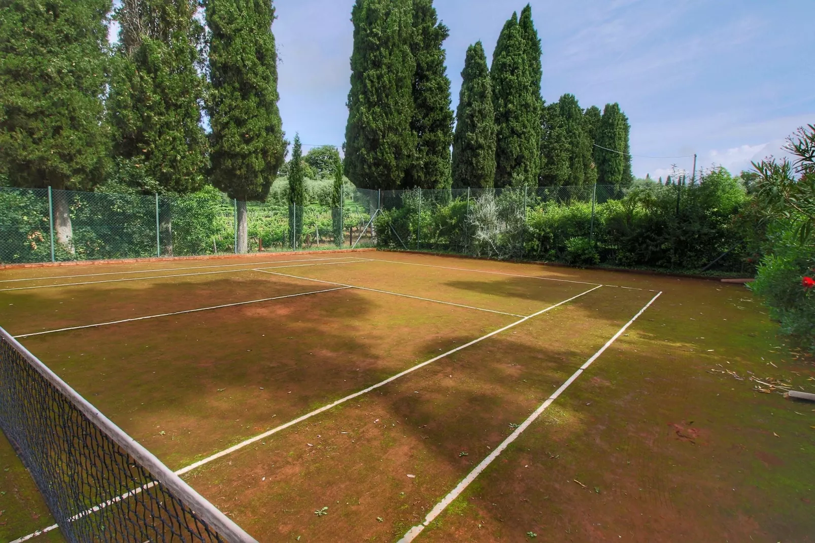 Paulonia-Facilities