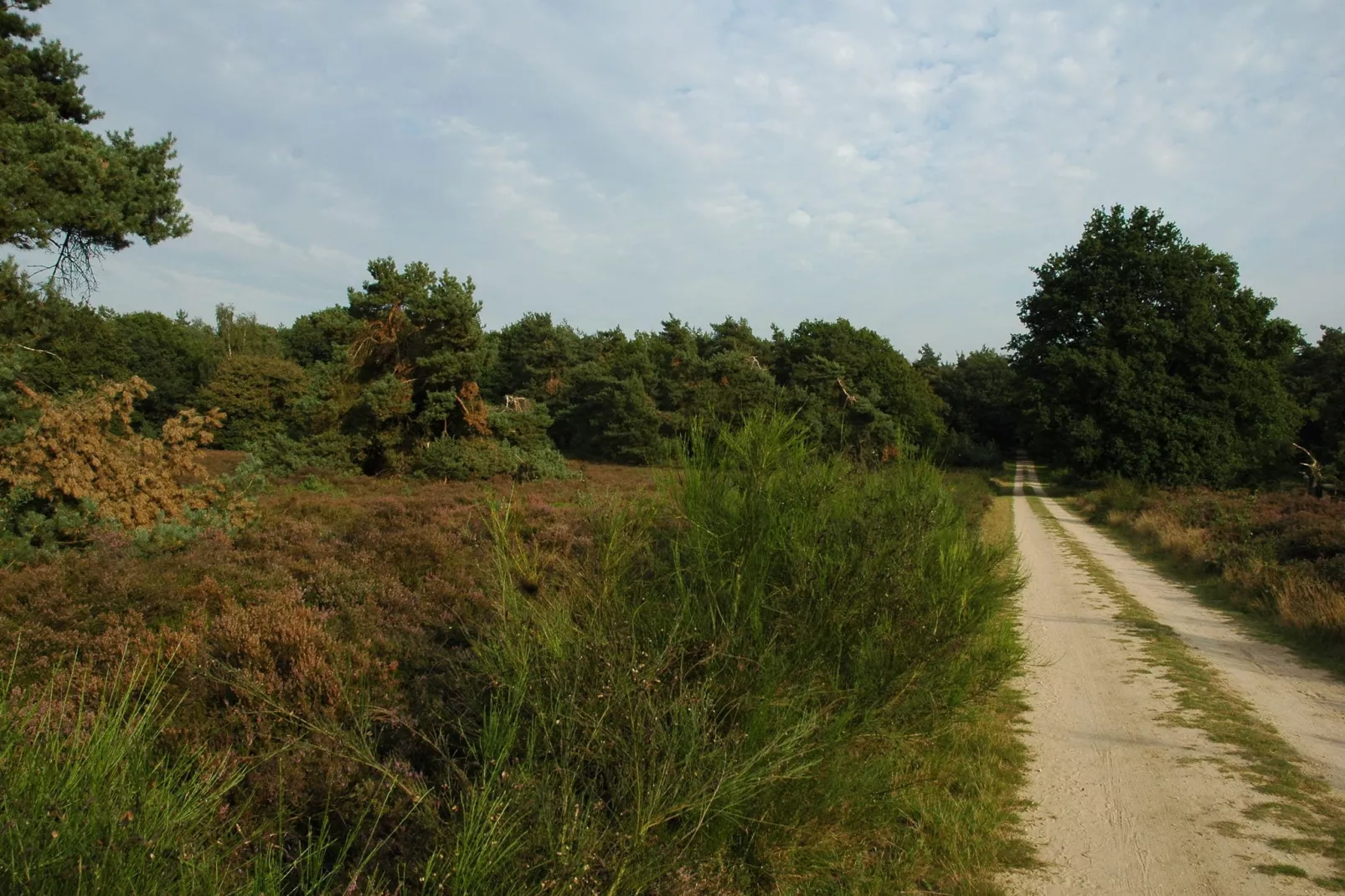 Landgoed De IJsvogel 3-Areas summer 20km